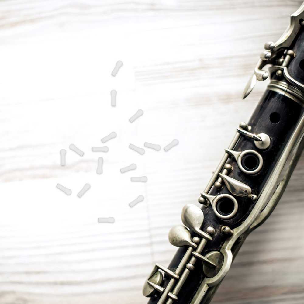 20 Pcs Key Connector Clarinet Essentials Kit Instrument Accessory