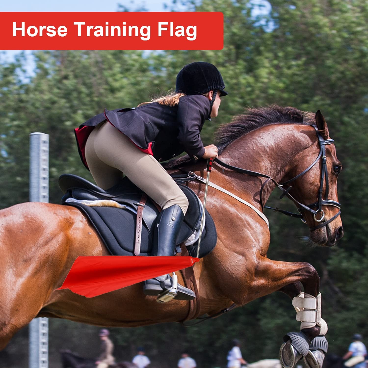 Horse Training Flag Equipment 5 Pcs with 1Pcs Telescopic Flag Pole Lunge Whip