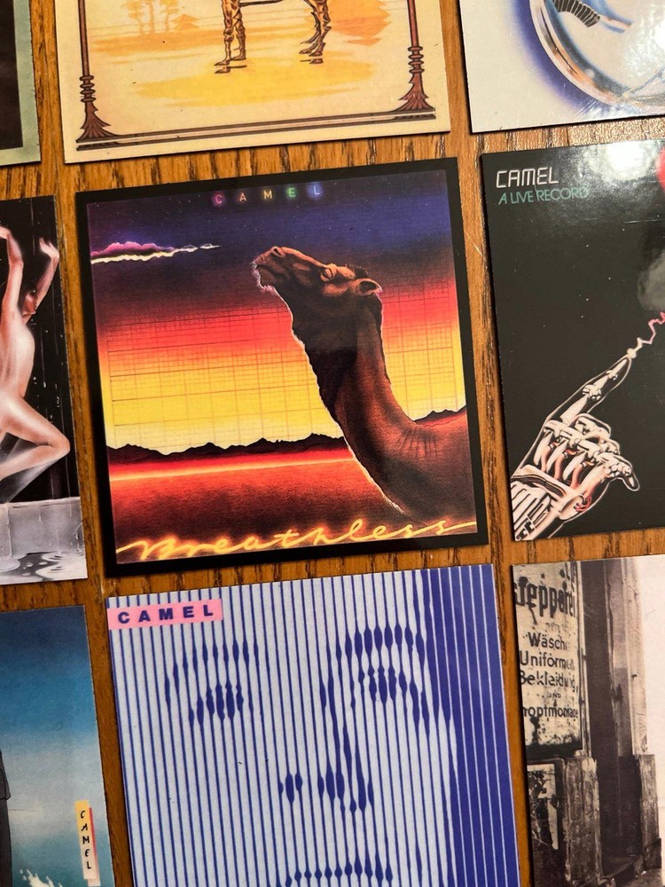 Camel fridge magnets