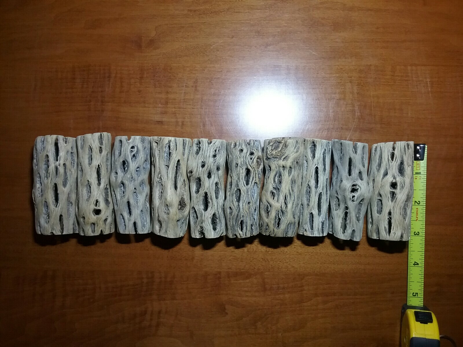 10 pcs CHOLLA Wood 3" L (~1" thick) | Shrimp Aquarium Air Plant | PRE-CLEANED!