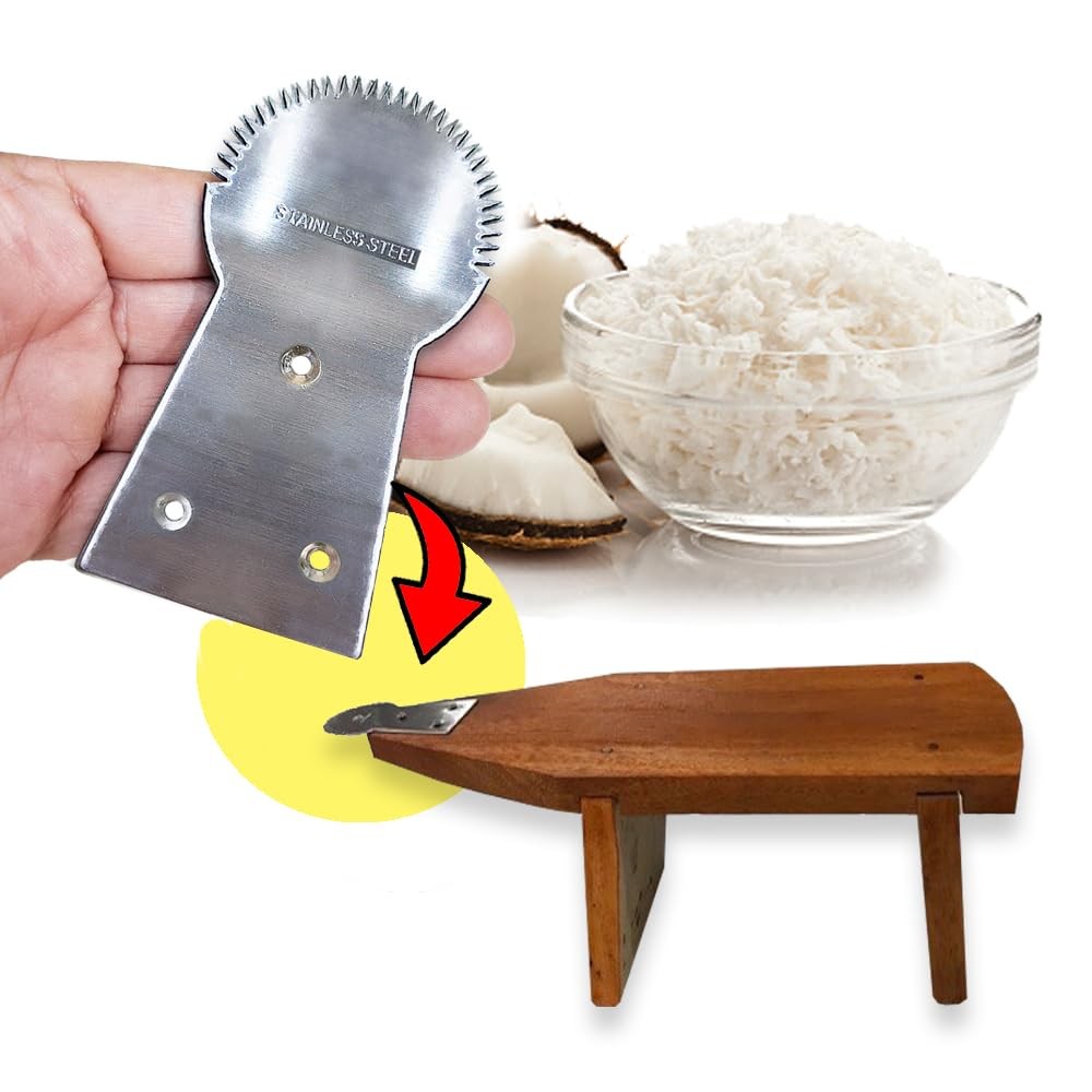 WitnyStore Kitchen Tool 3½" Long Stainless Steel Coconut Grater 3½", Silver