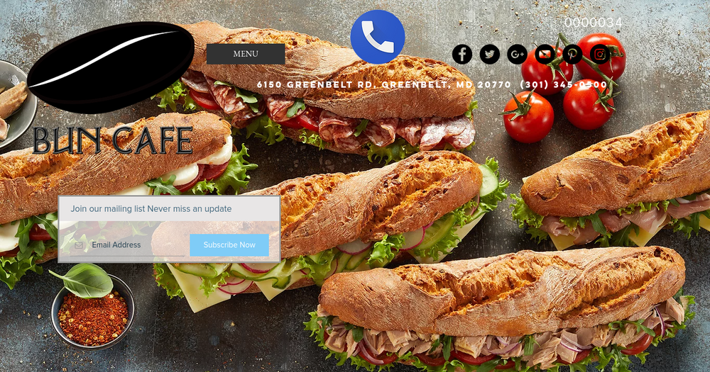 Customized One Page Wix.com Website