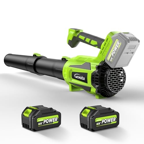 Leaf Blower Cordless, 580CFM Lightweight & Powerful Electric Handheld with 5+1