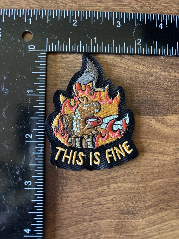 THIS IS FINE embroidered iron on sew on patch NEW