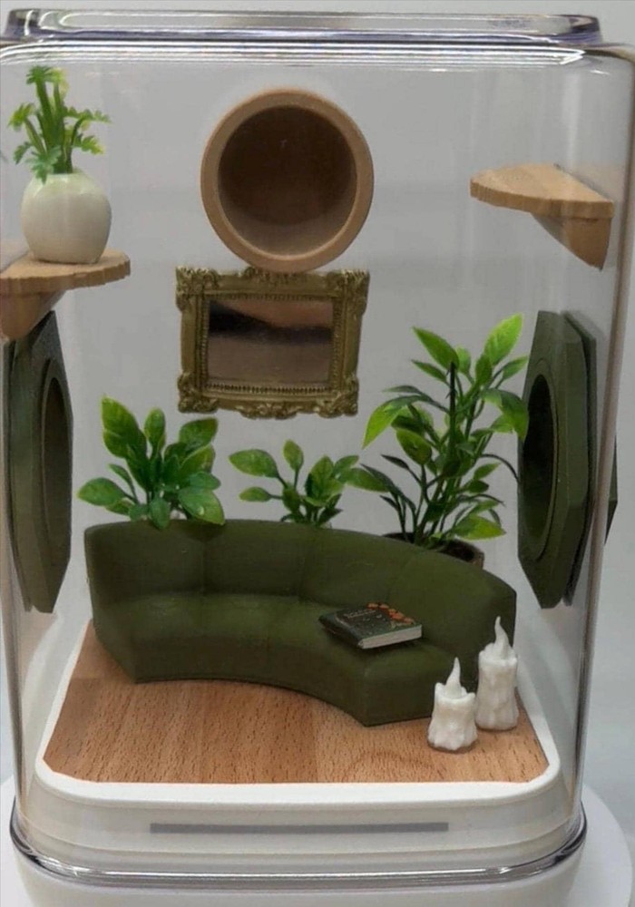 Jumping spider enclosure decor set