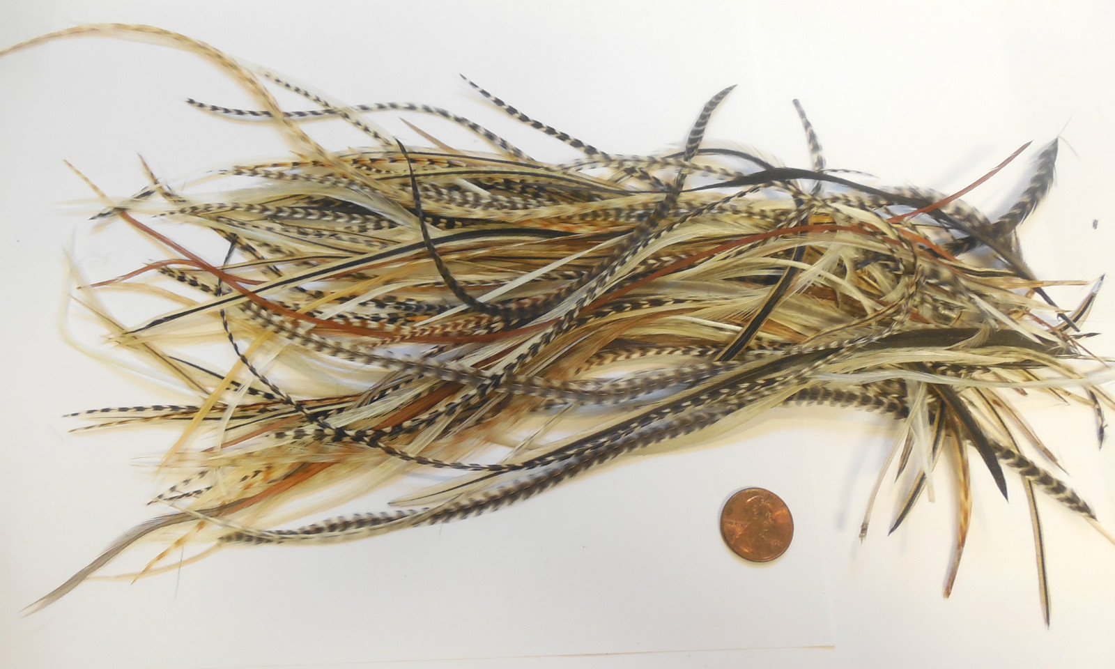 100 WHITING METZ ROOSTER SADDLE HACKLE FLY TYING FEATHERS ASST GRIZZLY etc Lot