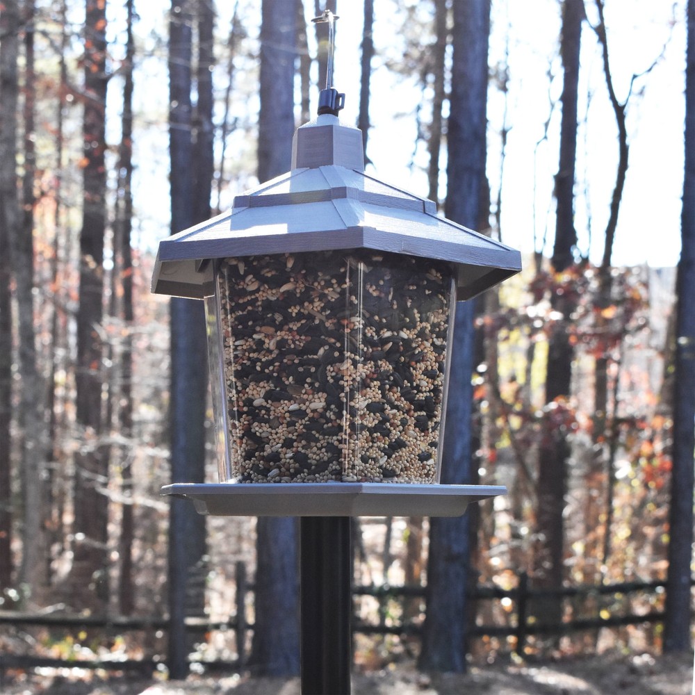 Hopper Bird Feeder, 2.5 lb Capacity