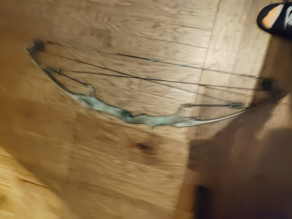 2 Compound Bows both Needs New String $100