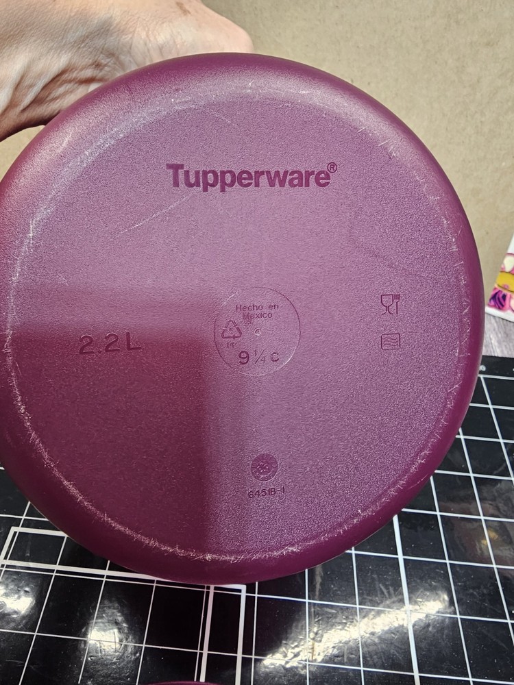 Tupperware 6451 Microwave Rice Maker Vegetable Steamer Cooker 3pc Purple