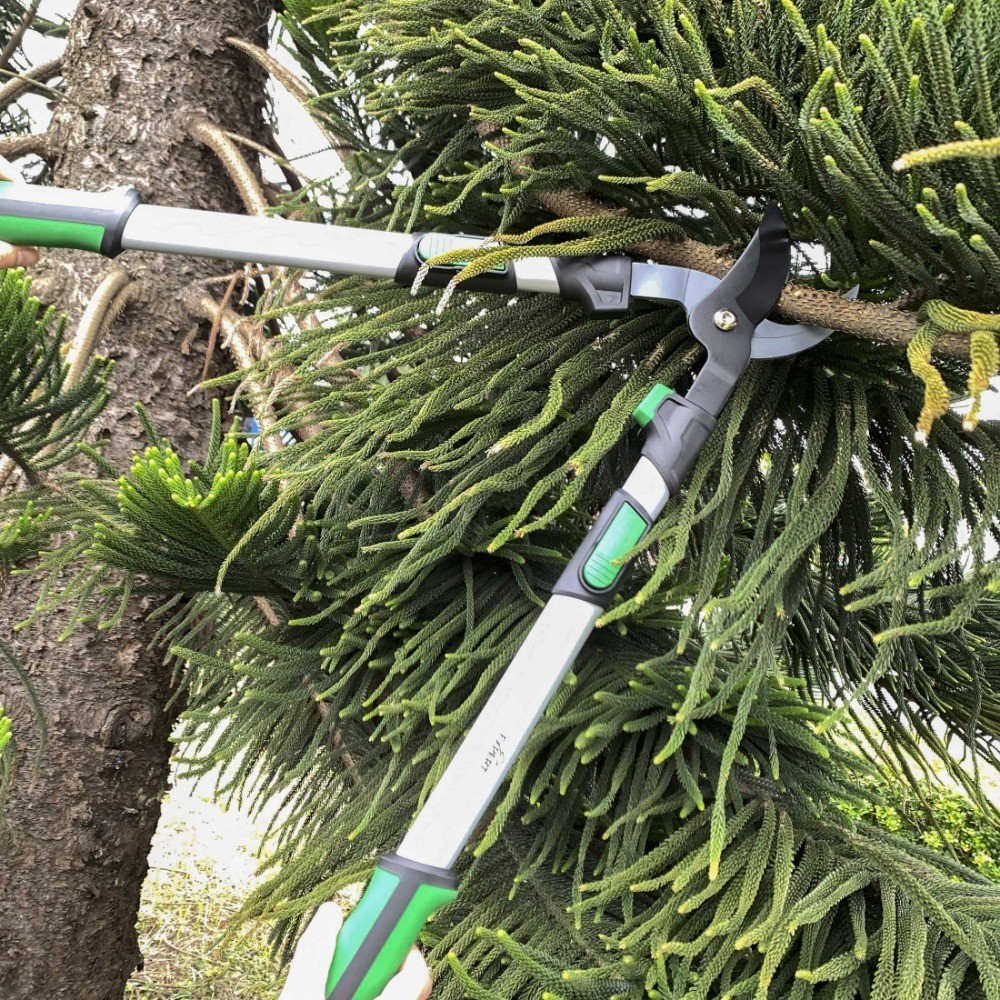 Extendable Tree Cutter 38 Inch Anvil Lopper Garden Pruning Shears Tool