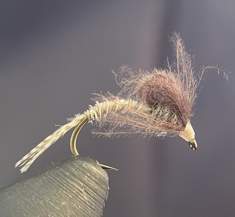 Slate Dun Emerger