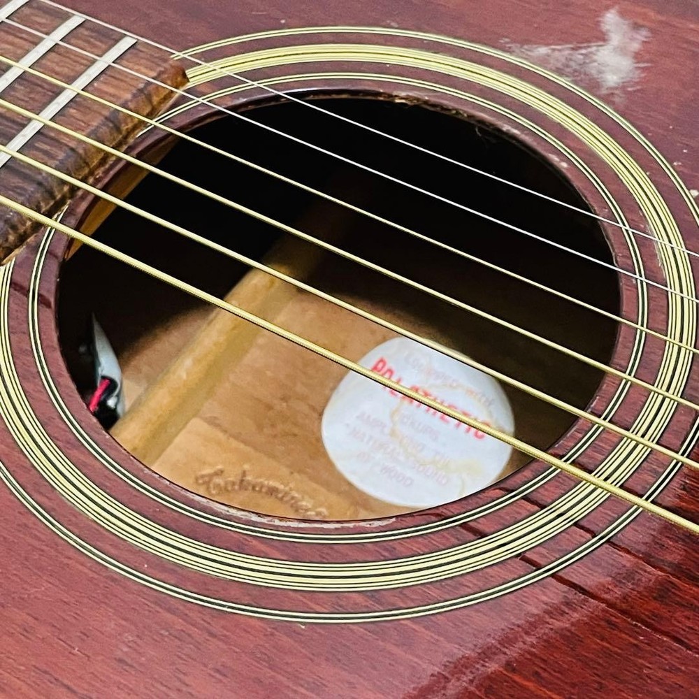 Takamine Classical Guitar PTN-006 With Strings, No Case, Used