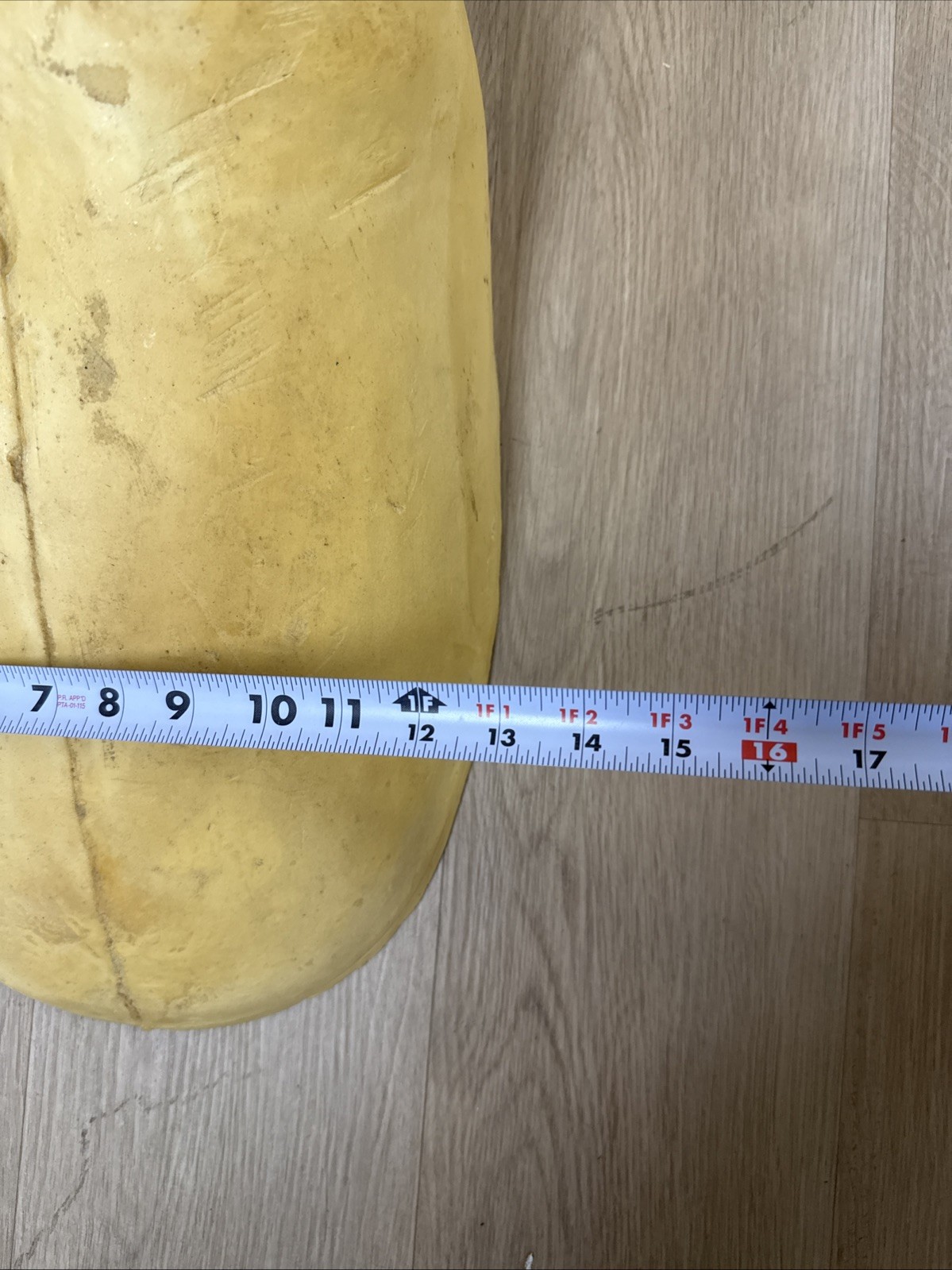 Van Dyke Large Bear Rug Shell Form Open Mouth 1992