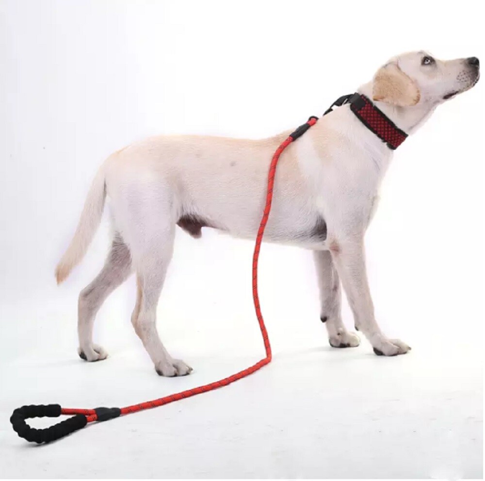 5 FT Dog Rope Leash - Reflective Nylon Lead, Training Padded Handle for Puppies