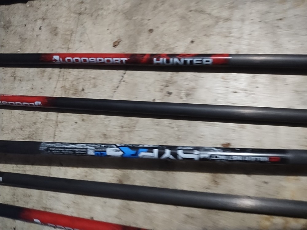 Kids Bear Valiant Compound Bow Archery 15 Lb Draw & 6 Arrows