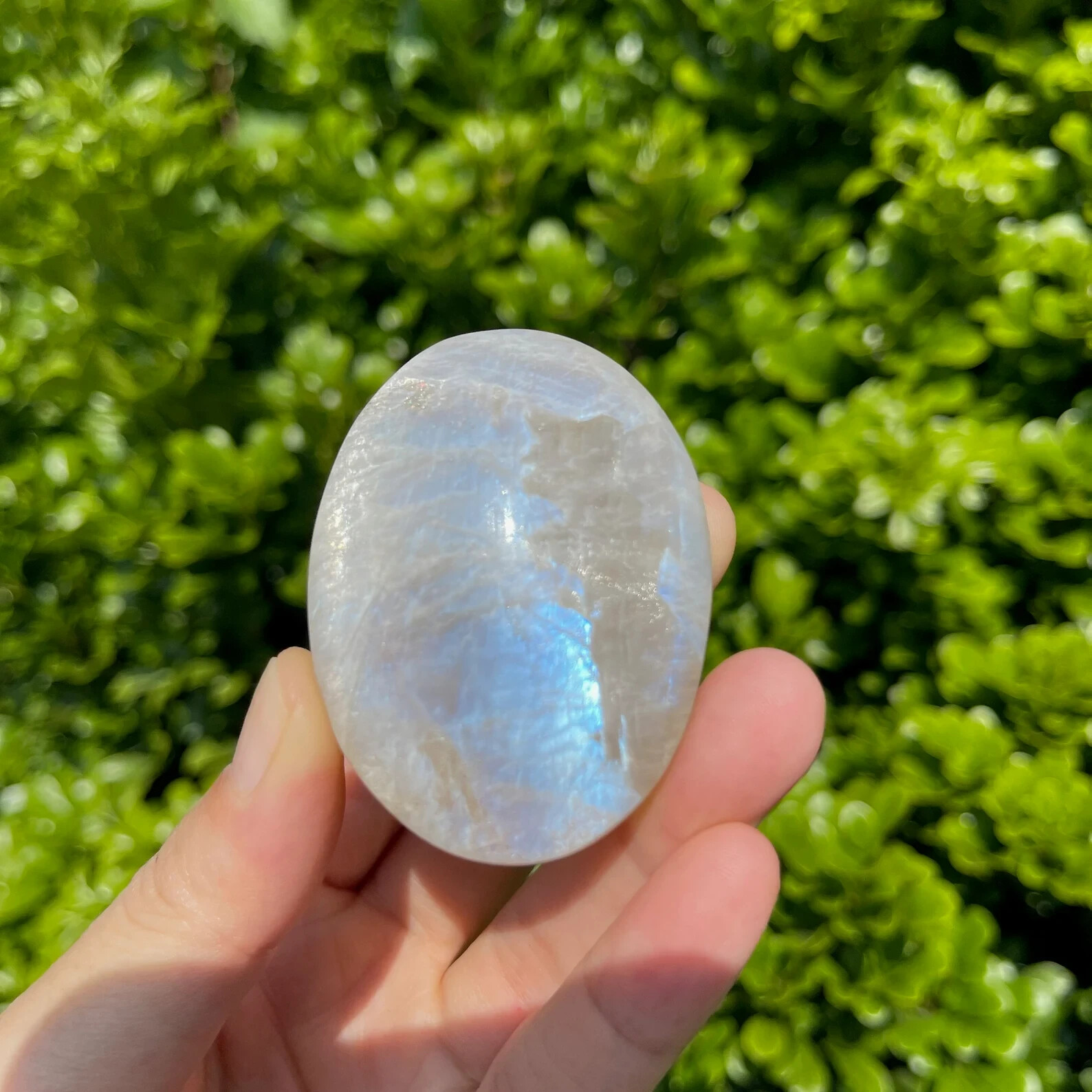 Natural Moonstone Palm Stone Polished Calming Healing Crystal Tumbled Stone Gift