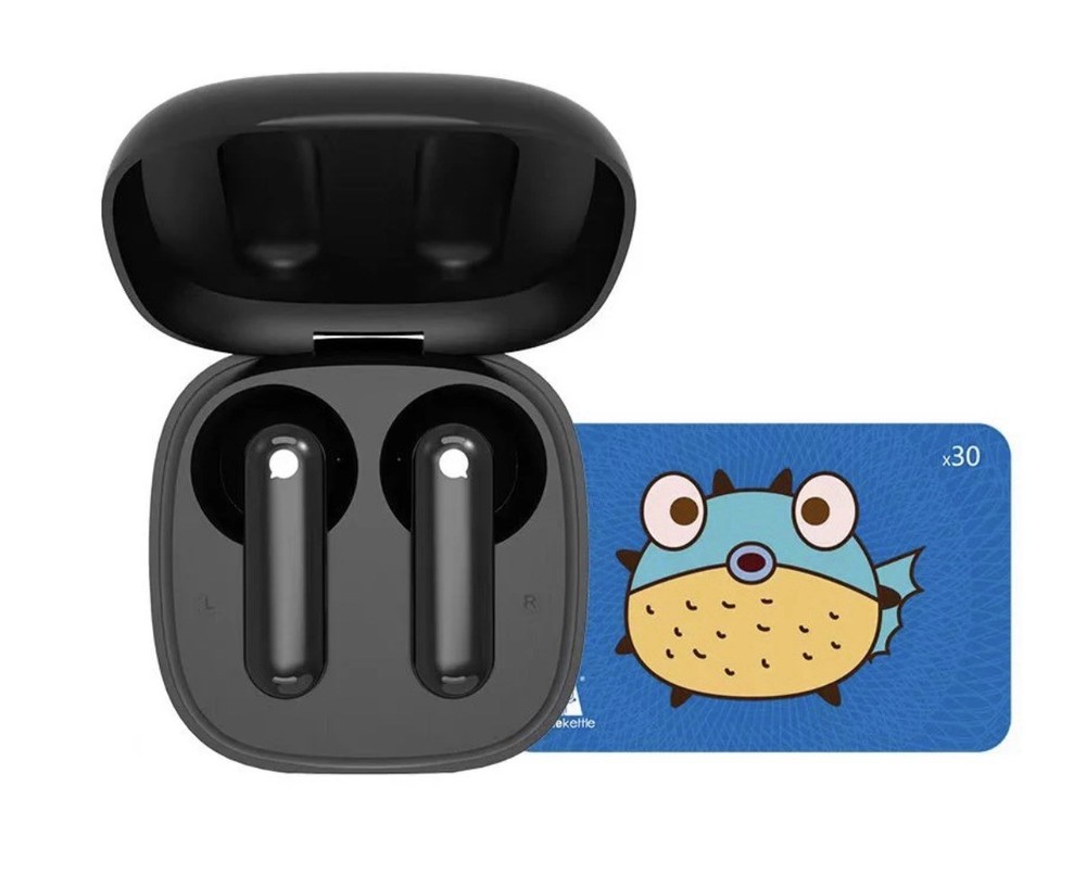 BLACK - Timekettle WT2 Edg Real-time Translator Earbuds