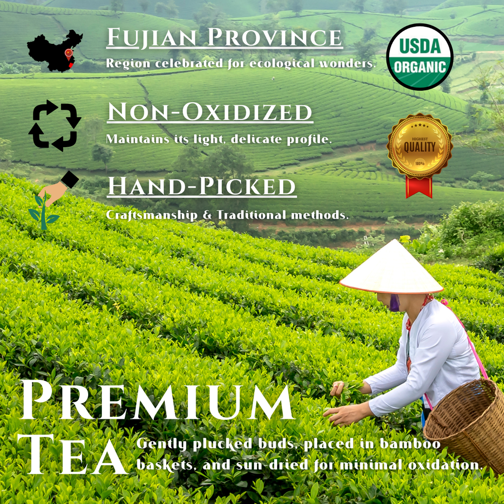 TODICAMP White Tea Organic Silver Needle Tea - 3 Oz