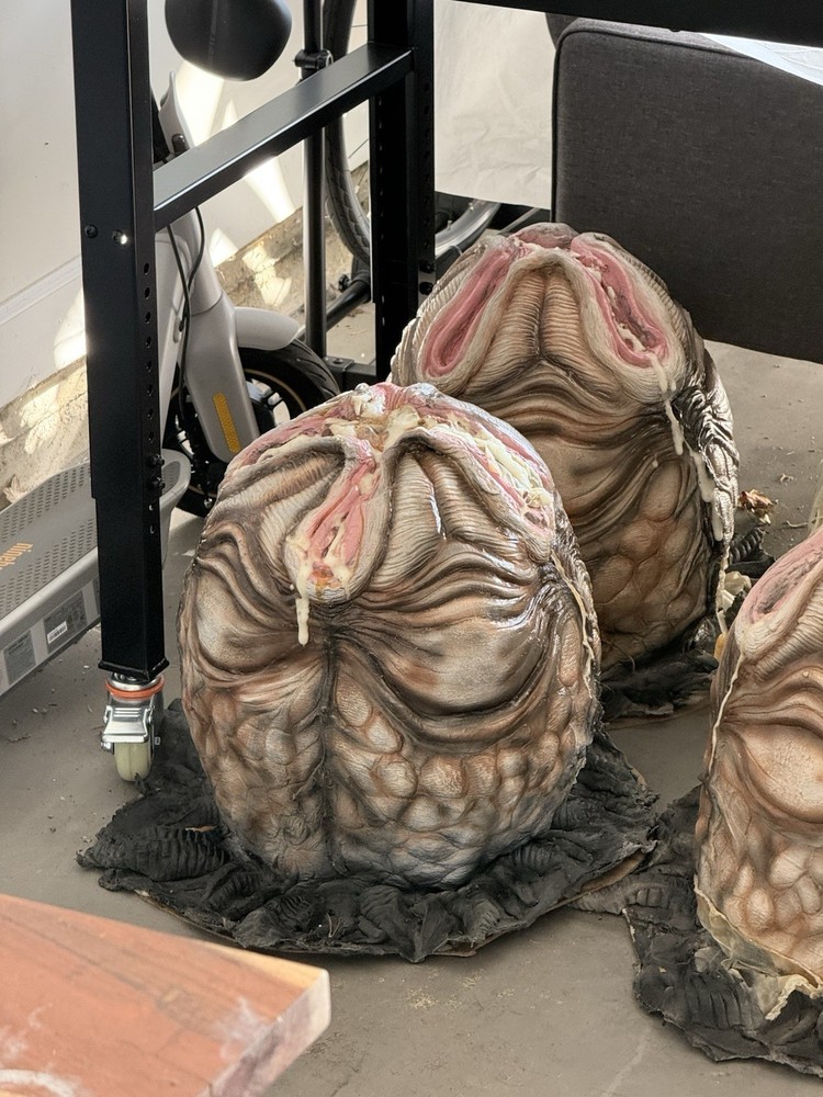 Alien/Xenomorph Eggs