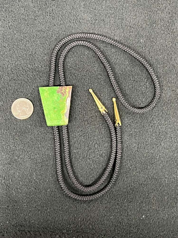 Rare Parrot Wing Jasper Western Bolo Tie