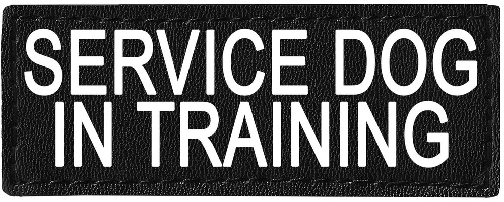 Custom Personalized Removable Patch Label Tag For Dog Harness and Collar