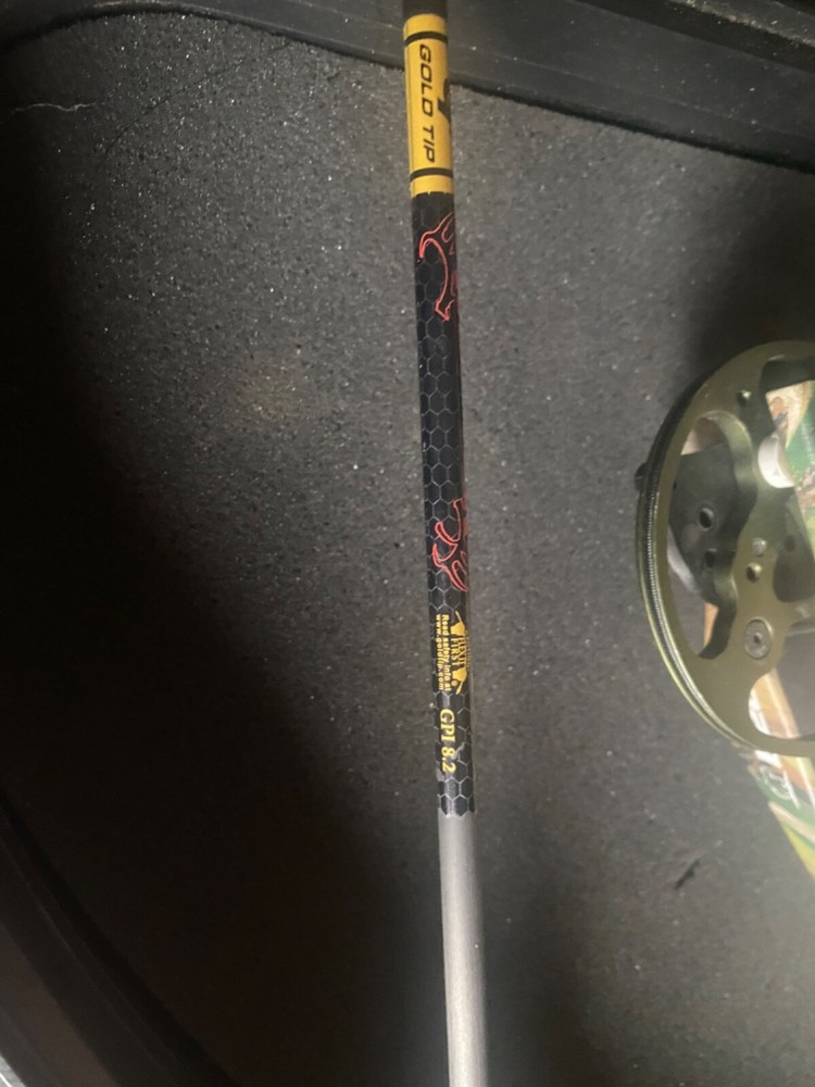 Bear Apprentice 2 Compound Bow