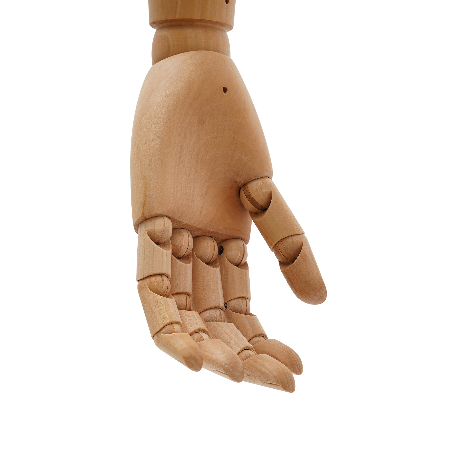 Adult Male Torso Mannequin Dress Form with tripod Base Adjustable Height