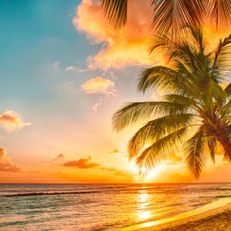 4 oz Candle Scent Oil-HONOLULU SUN