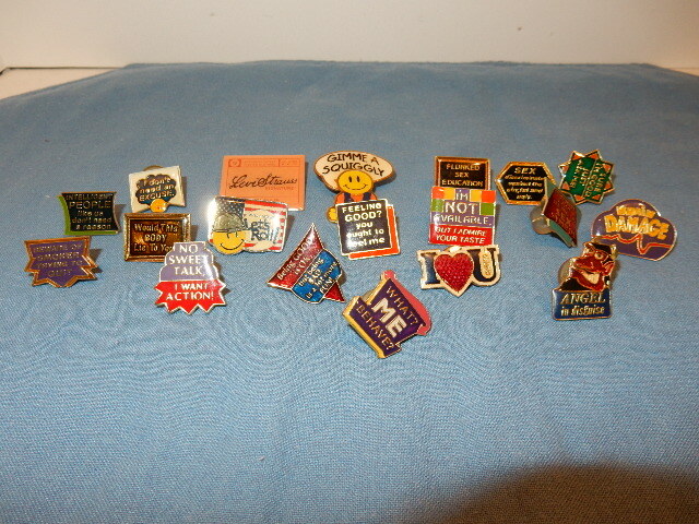 19 Brooch Pins