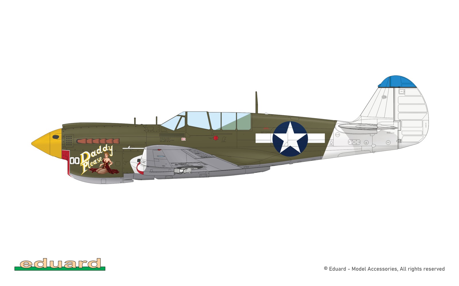 Eduard 1/48 P-40N Warhawk Royal Class Dual Combo R0025