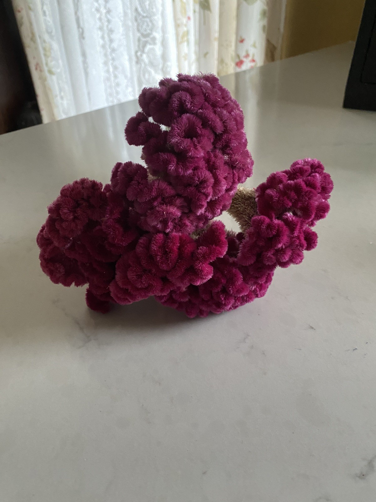 COCKSCOMB Celosia DRIED FLOWERS Bunch BOUQUET Bundle Wedding Assorted PINK HUES