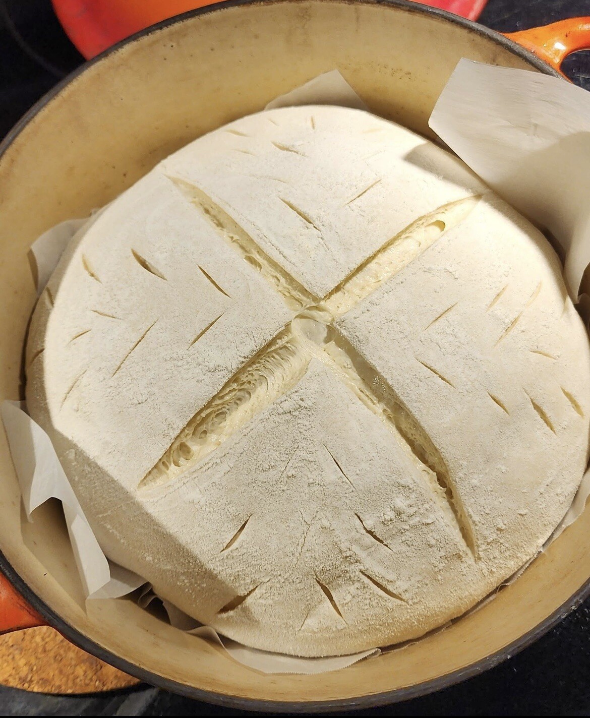 ORGANIC Sourdough Bread Starter San Francisco - Live 200yrs Old BEST SELLER!