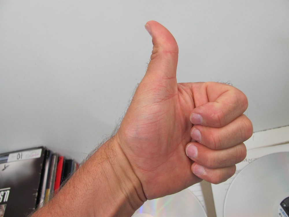 SURVIVING PICASSO 2-Laserdisc LD WIDESCREEN FORMAT VERY GOOD