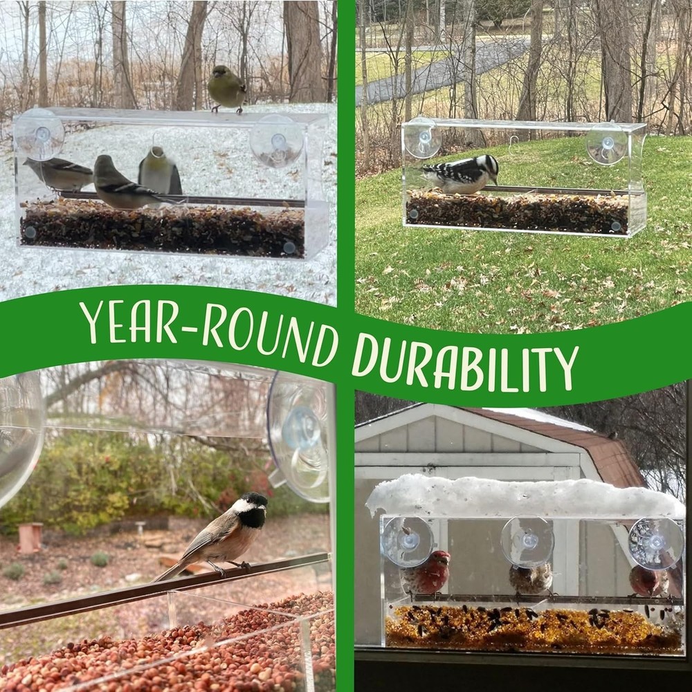 Unobstructed Birdwatching: Large Acrylic Window Feeder with Comfortable Perch