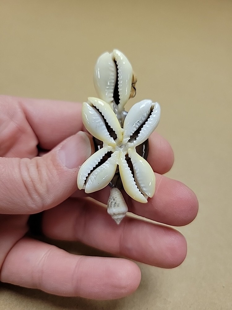 Handmade Seashell Turtle Tortoise Shell with Wire Glasses Hat