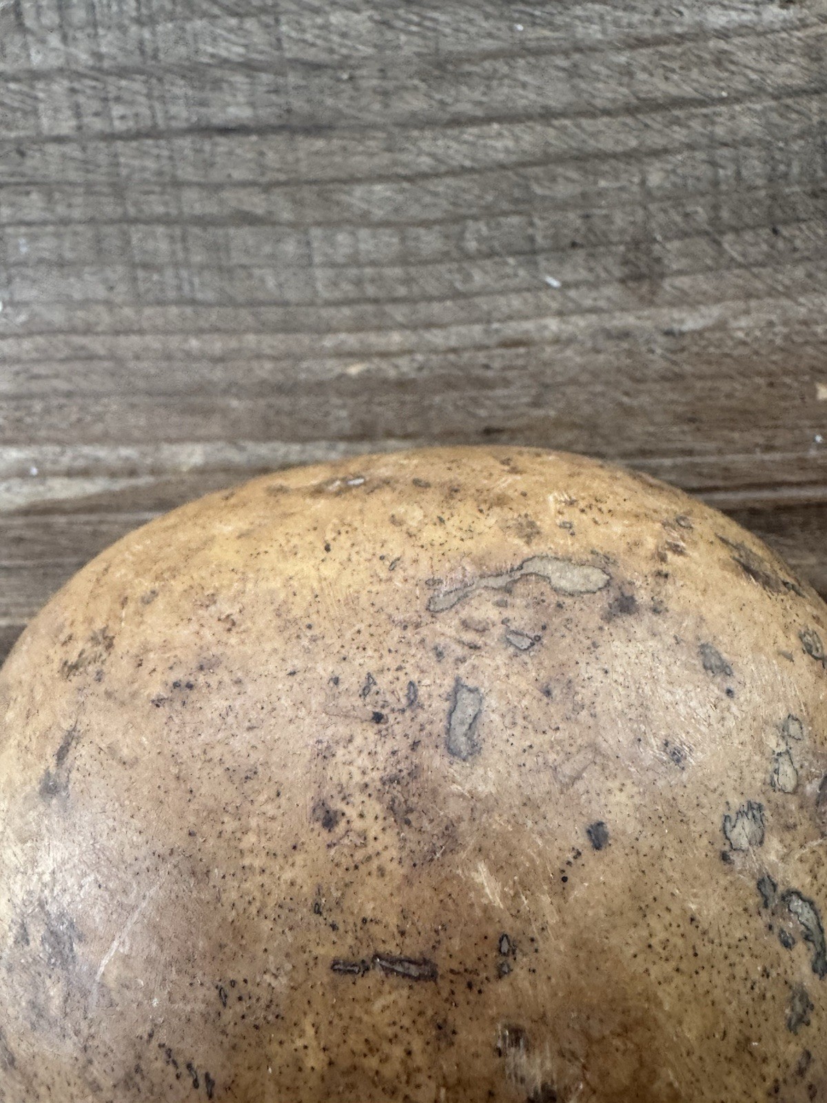 Vintage Decorated Gourd Rattle Turtle Design Folk Art Handcrafted