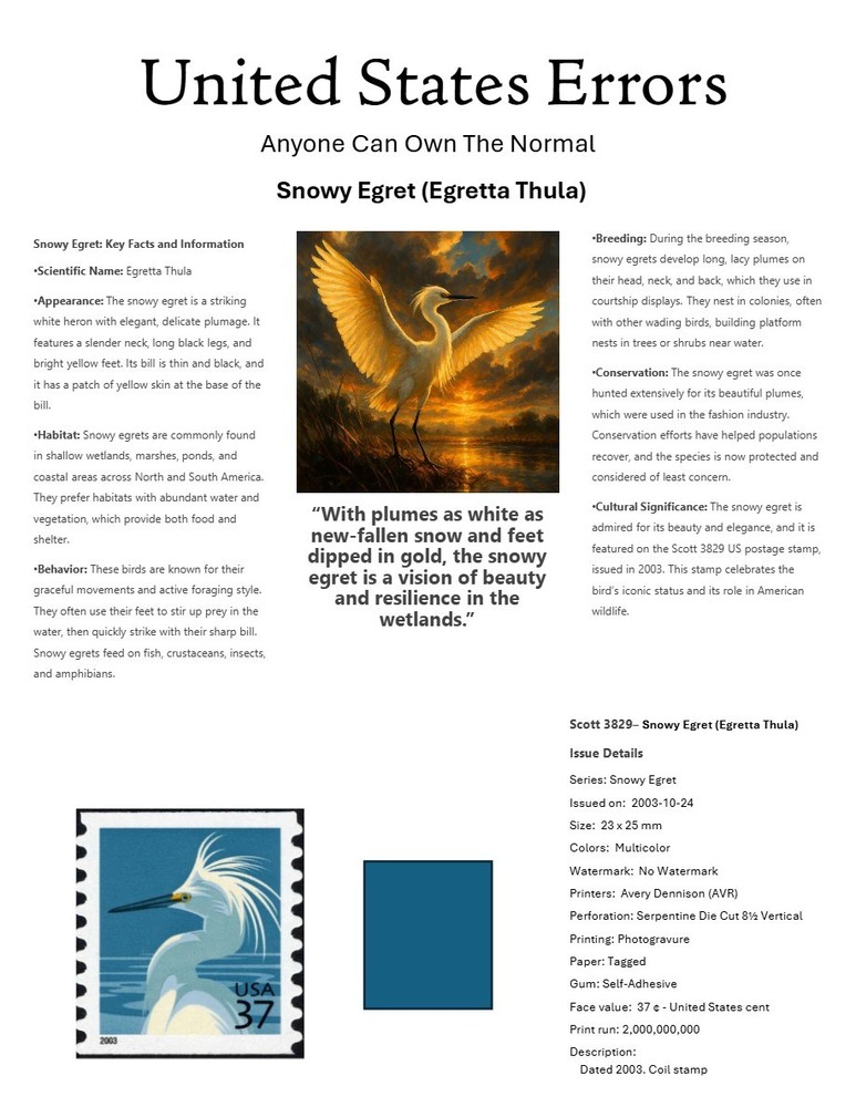 Centsational Custom Presentation Panel For Error SN 3829 - 8.5” X 11”