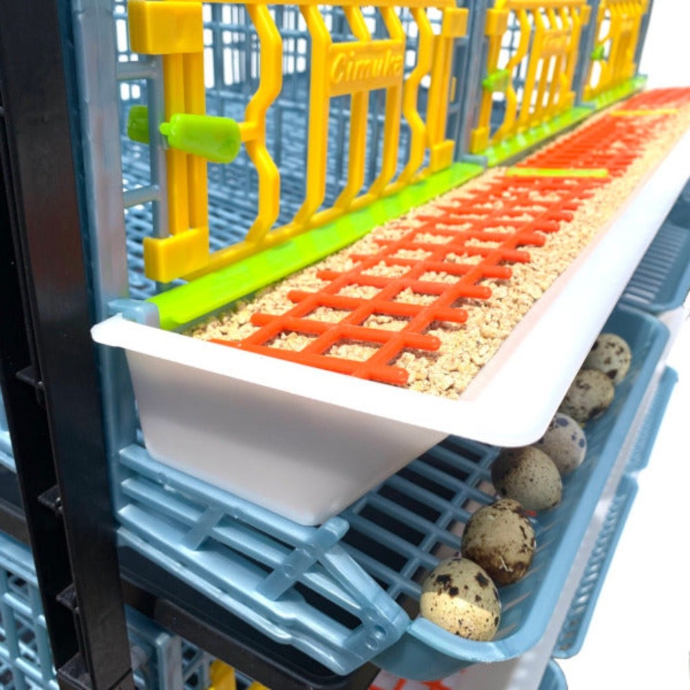 Quail Cage - 3 Layer