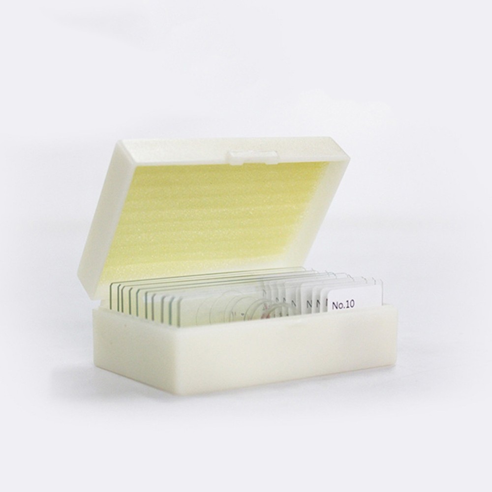 10 PCS/Set Microscope Specimens Slide Biology Sample Slides Glass Prepared