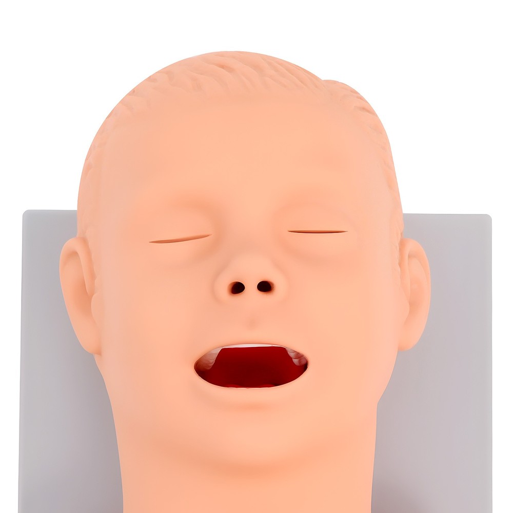 Intubation Manikin Study Teaching Simulator Airway Management Trainer Model
