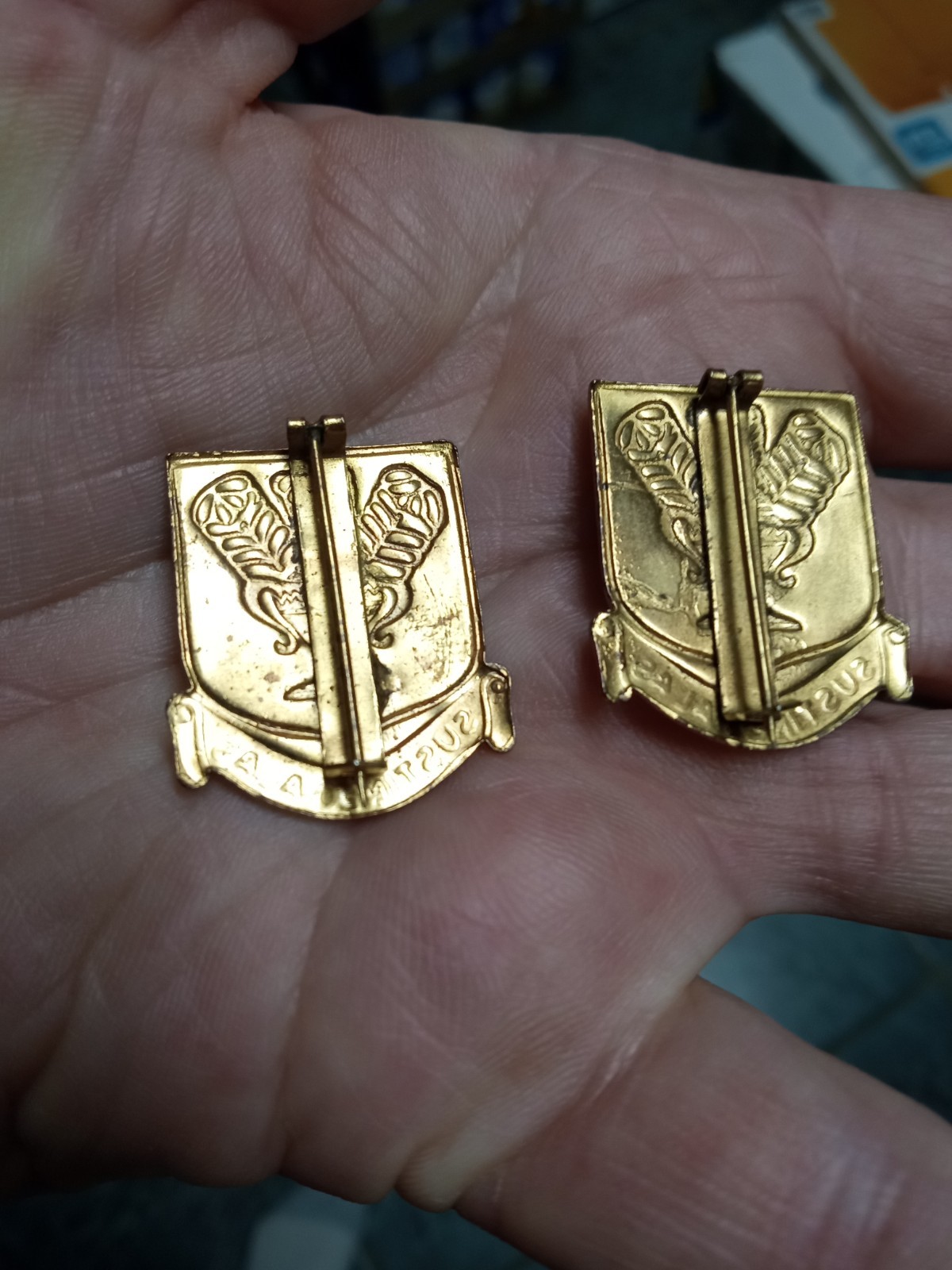 WW2 US AAC Army Air Force Technical Training Command DI DUI Crest Sustineo Alas