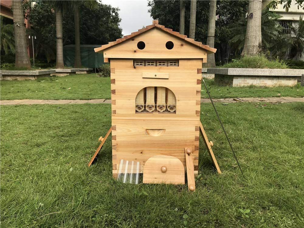 Upgrade 7X Auto Honey Hive Beehive Frames + Beekeeping Brood 2 Layer Box house