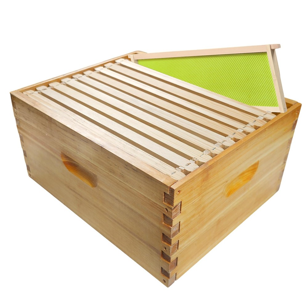 BeeQuestify 10 Frame Bee Hive Box Langstroth Deep Brood Dipped 10pcs