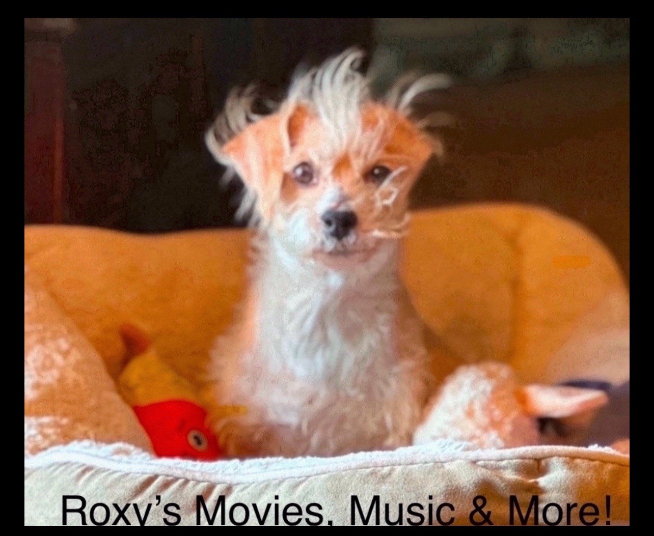 Joshua Lawrence Chamberlain (1828-1914) New Jersey Construction Co Share Cert