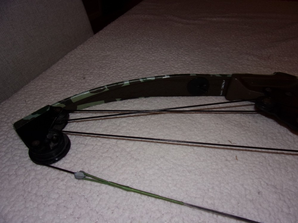 Bear Whitetail Hunter Compound Bow