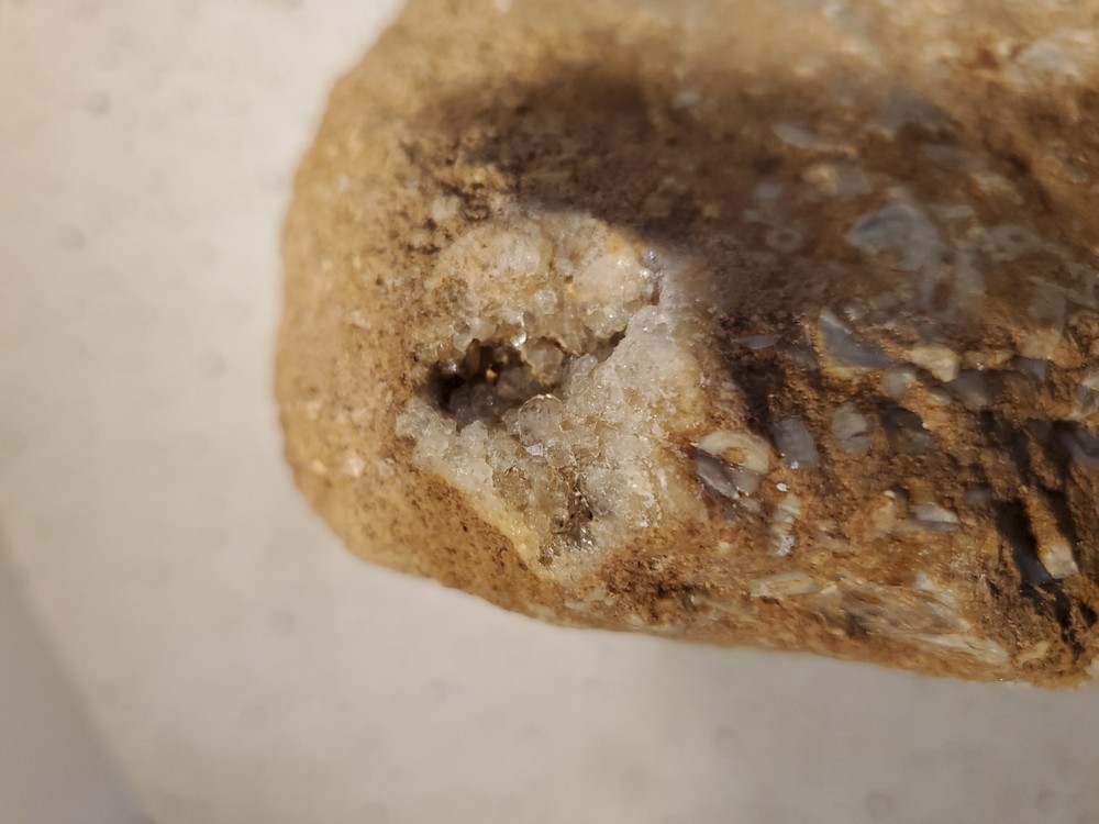 About 11 pound 14 oz Triangular Densely Packed Fossilized Shells Rock thatStands