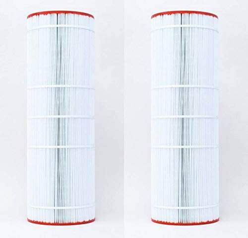 Unicel C-9419 Replacement Filter Cartridge, Predator/Clean & Clear (2 Pack)