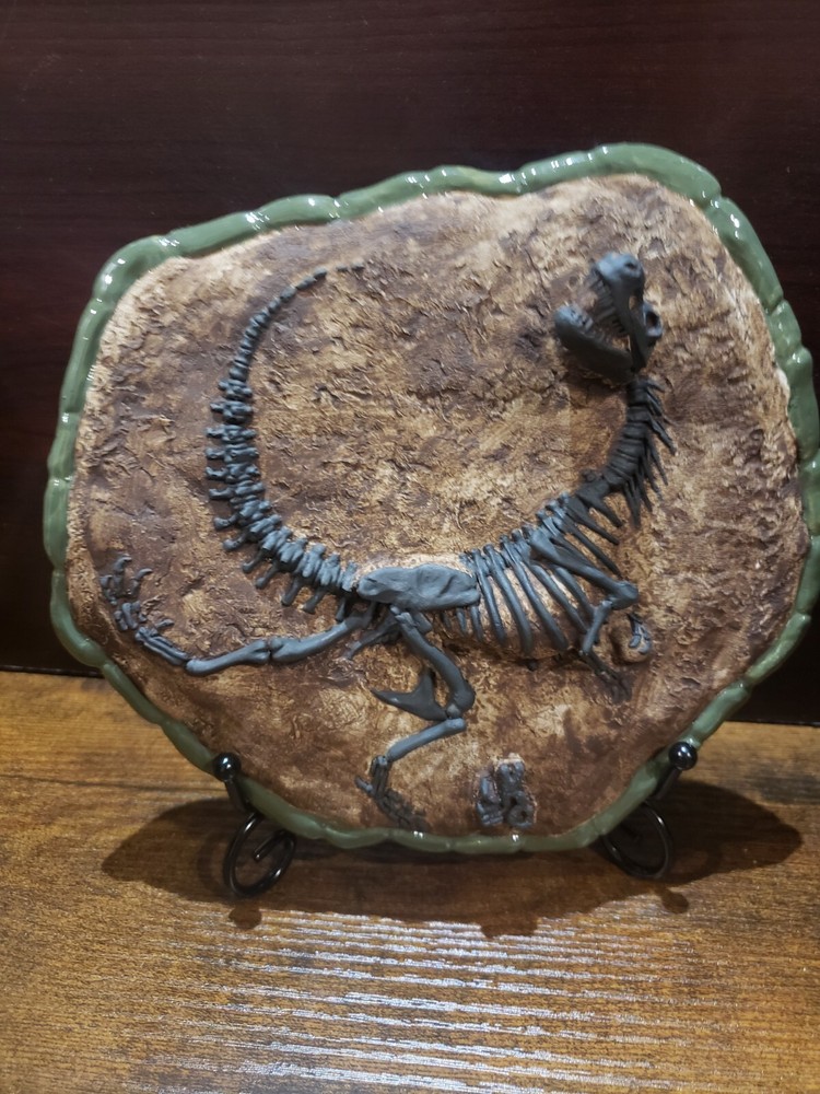T-Rex Dinosaur fossil display
