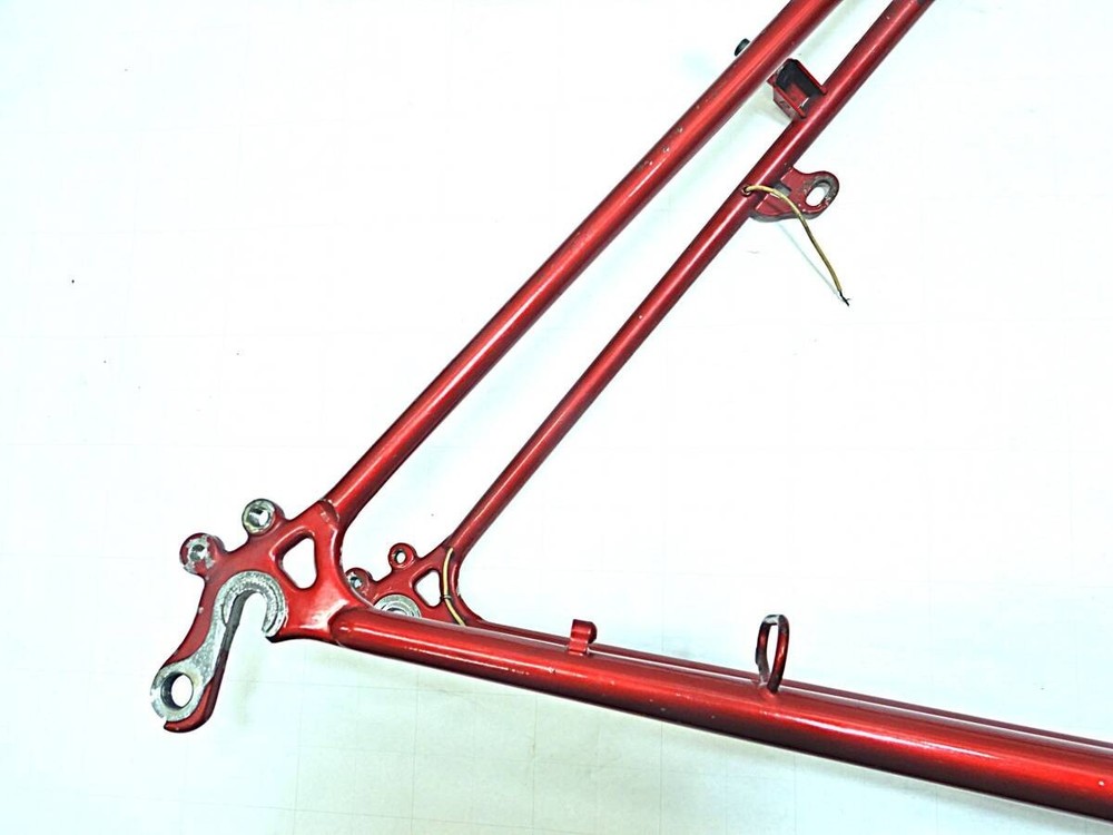 Nishiki Custom Touring Frame 540mm