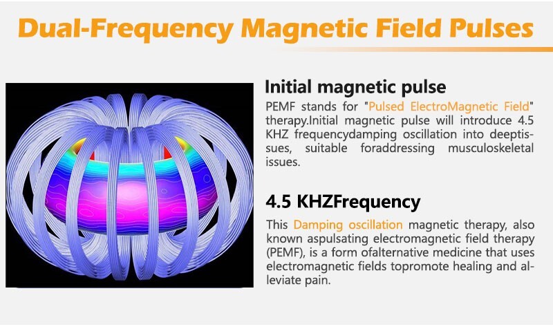 PMST Loop PEMF Puls Eletromagnetic Feild Sport Injury Pain Therapy Machine
